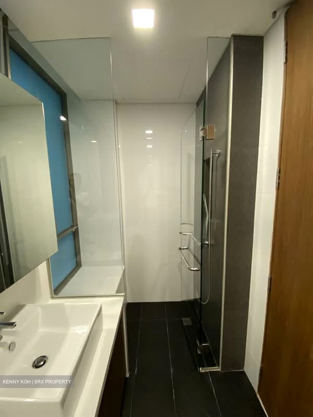 St Patrick's Residences (D15), Apartment #585568141
